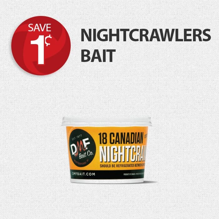Nightcrawlers-min